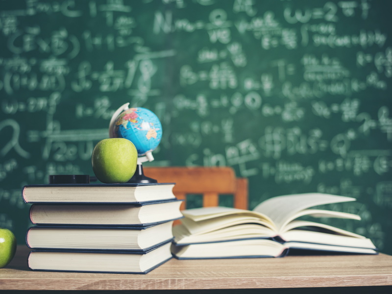 Профессиональная педагогика и методика преподавания в образовательной организации